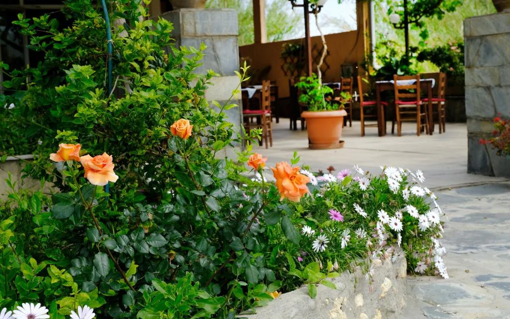 Flowers in the garden
