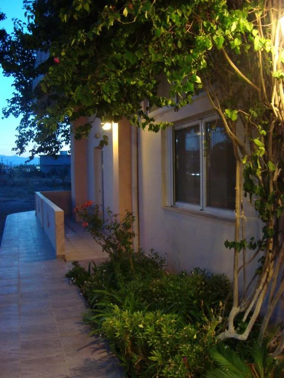 The garden in the evening