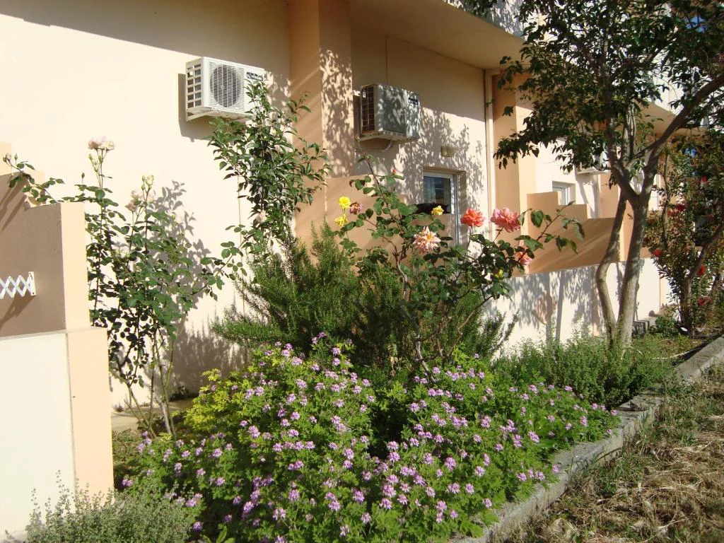 Garden along the building